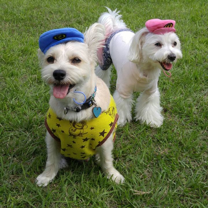 573dcba6 c1d6 4239 b80d f16c986fad38