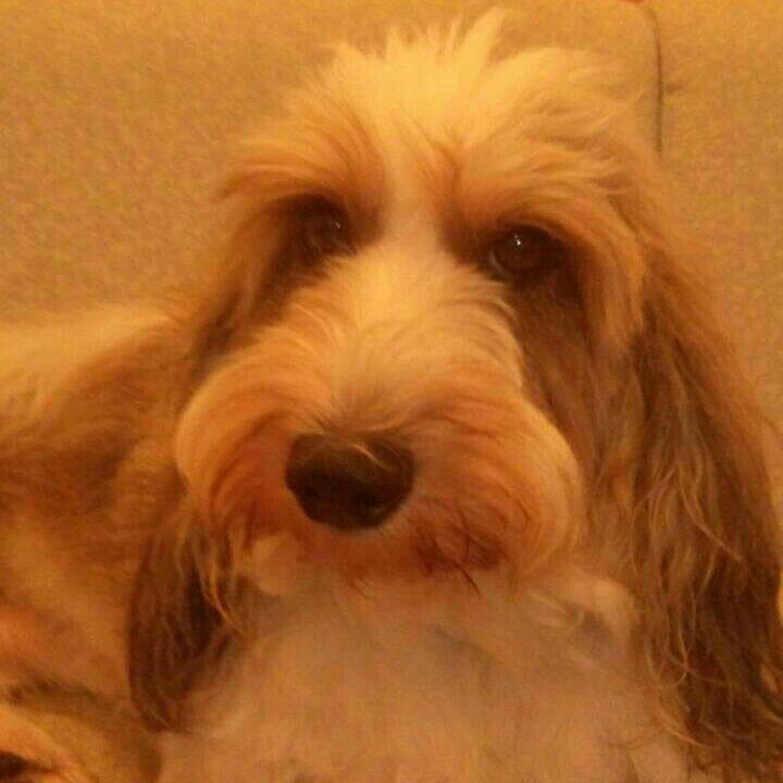 573e4ae0 bd5f 46dd b3ce b6d31424bf36