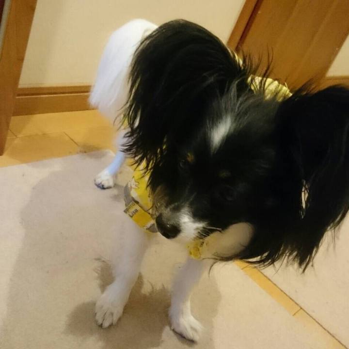 573eda0b a9ad 4abc a9d7 95c382f1ef9e