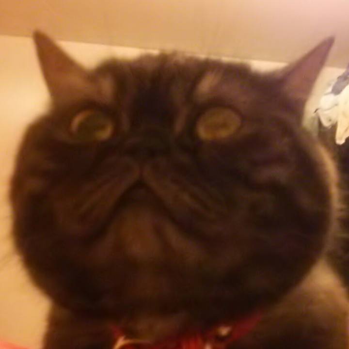 57401fb9 6984 4327 b305 146e963fd4d2