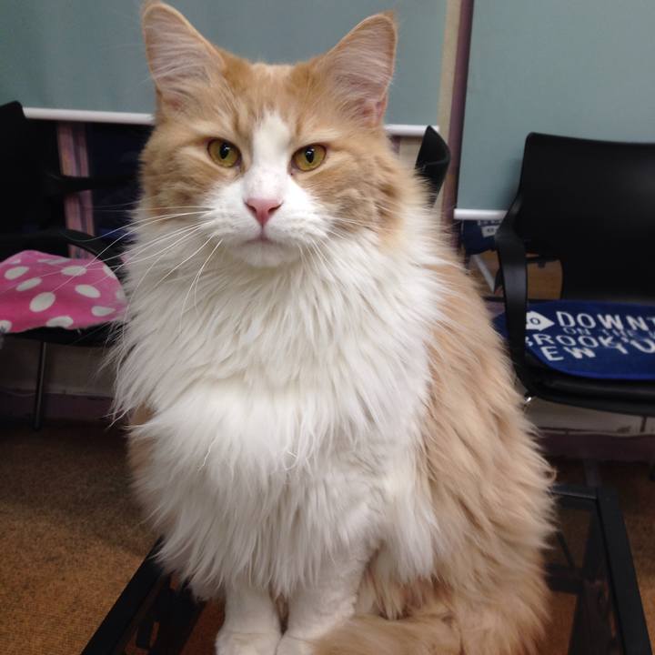 57407606 1b33 4bfe aa30 09056c9a2ee8