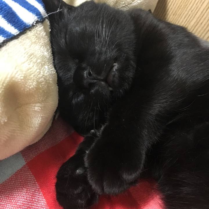 57408480 8bf0 41d6 a79a cf83aed56ed5