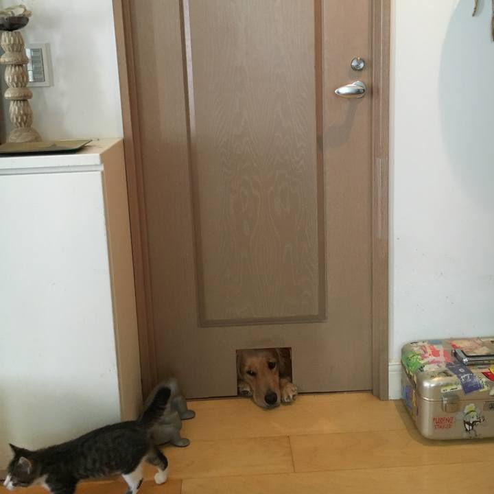 574099f8 a07e 4de2 a6a2 41314bd9eae4