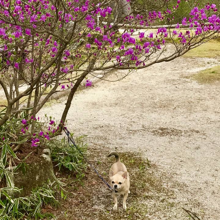 5740aee1 64db 407b baf9 0a4fbe241dae