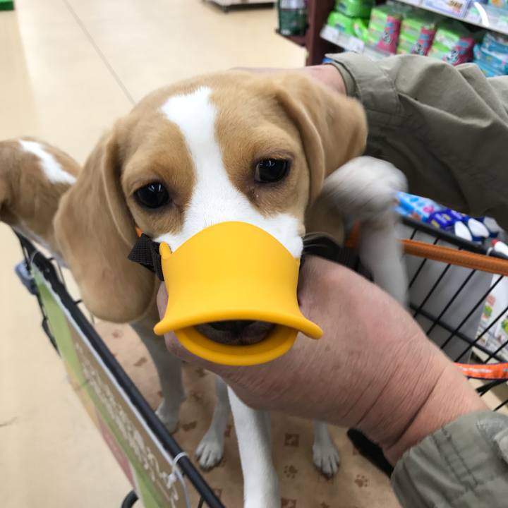 5740c96f f225 4b2b a127 ca1fabfc1913