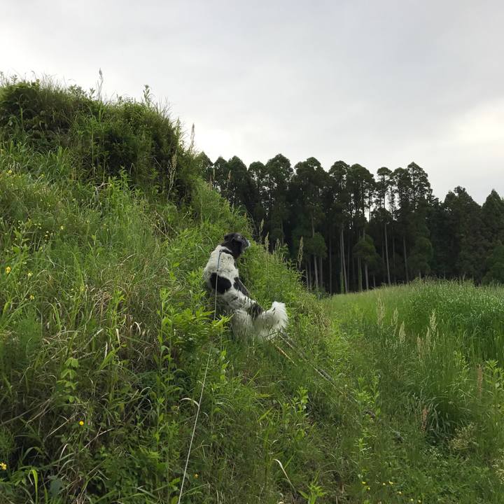 5741b3cd 3bf0 431d bdb7 35a90deb9d3c