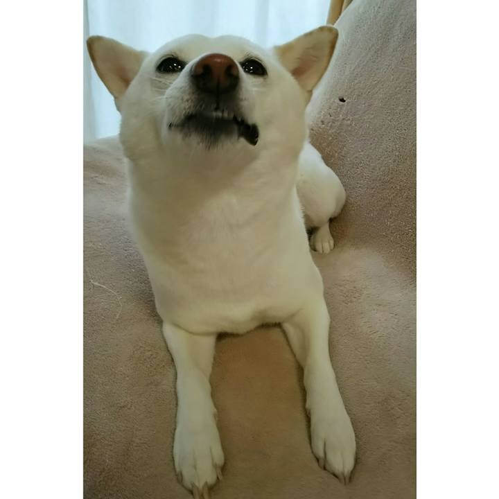 5741e090 5302 49f8 bda1 1d20fb2add74