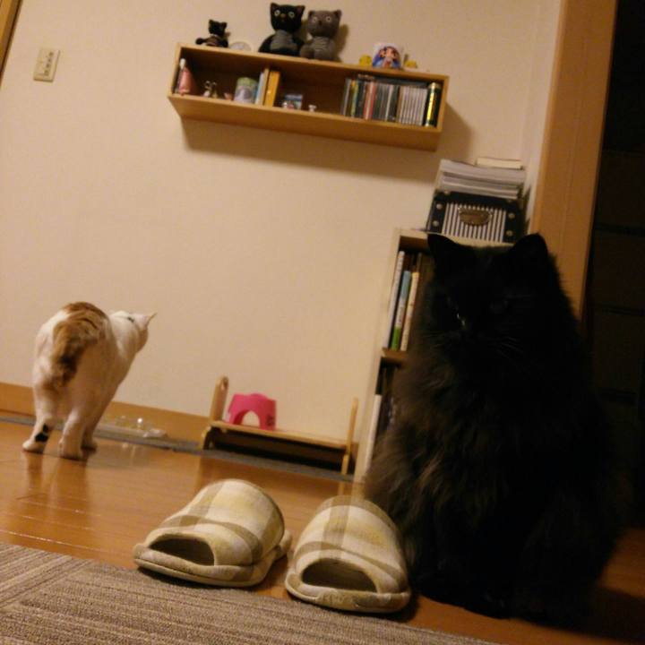 5741e57c 0b0c 405f bbed 2874ca9519e7