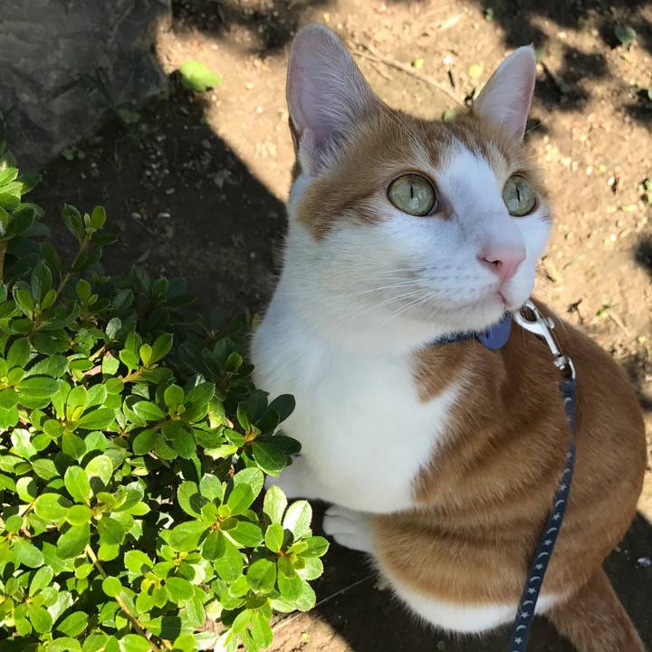 5741fcc9 b04c 4db6 aa66 e1108652d890