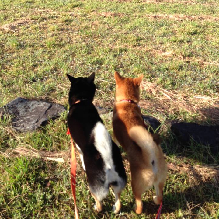 5742171b 2fa4 4a93 9734 a888c6168cb9