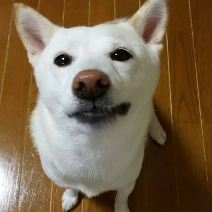 57426720 b484 4992 ba71 e588426d3b6c