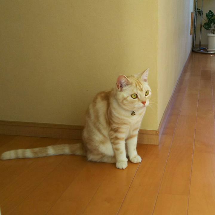 5742a48d 640d 49dd a5e9 6b9eff80e752