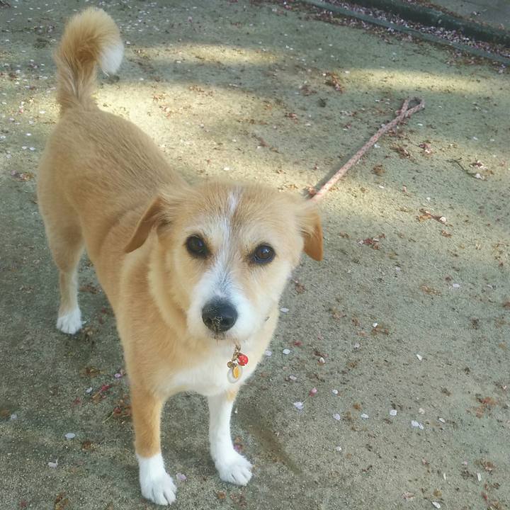 5742b687 e5f2 4501 9b74 b4c11d077ee0