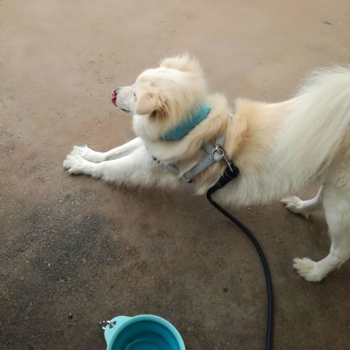 57433701 61d3 4879 adb2 599bed3c75a3