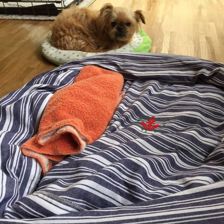 57435b3c c552 4274 9518 632a8a21a33a