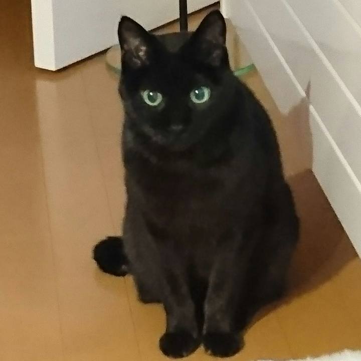 574410a0 8613 4726 8989 467bf86691b7