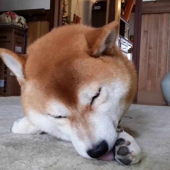 57448bfe 29fa 4f45 ac94 12edf2217318