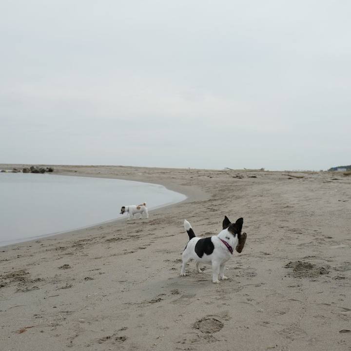 57456422 9972 4d6a a574 9a14d178e673