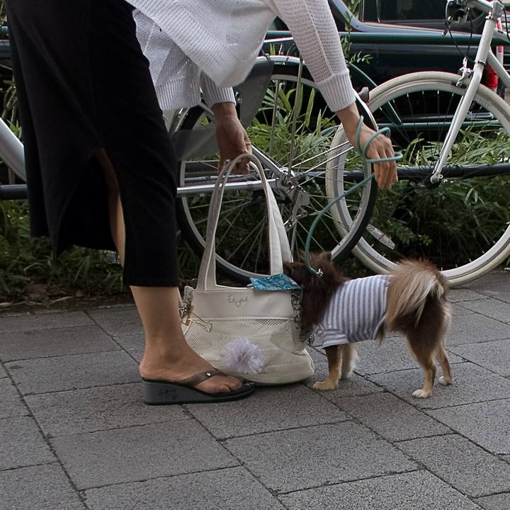 5745ac6a adf8 492c b603 a1f3027ceb4a