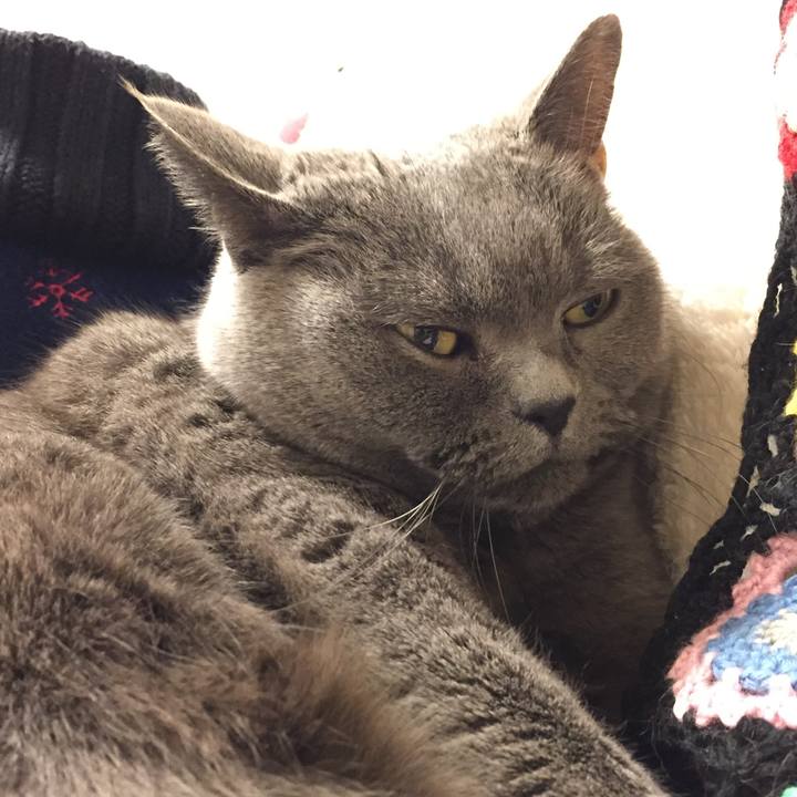 5746c2d0 3ca5 42d9 941a 1d32c43bffd9