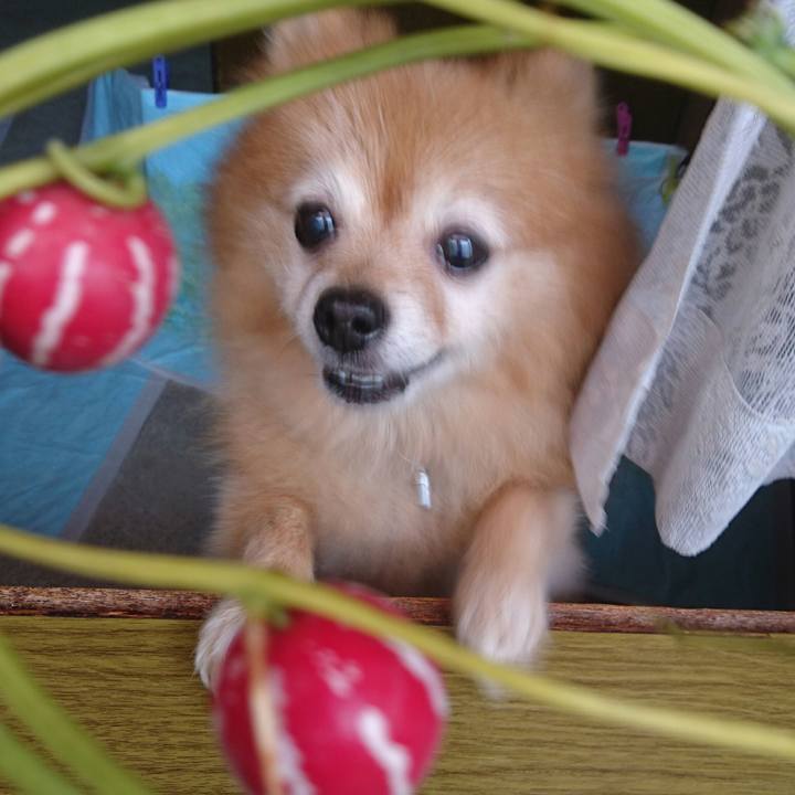 574703ca 4c1e 4668 91cb 4ebd67d650d4