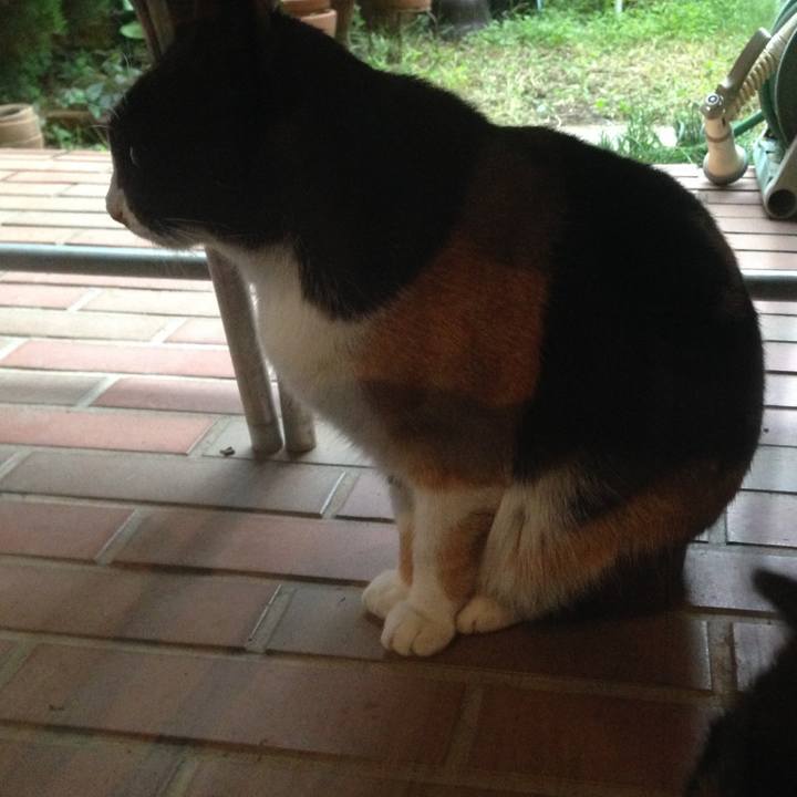 574743ce 0393 42b1 8fbb fb4e644cf3bb