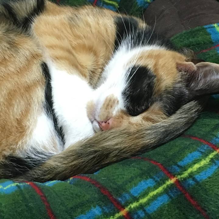 57478b1a 8719 4b63 b9fc a7960d66dbc2