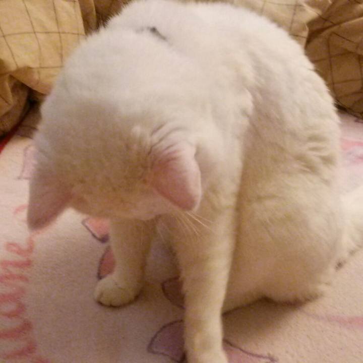 57479408 16e6 4467 b92b 64e84b5eb9db