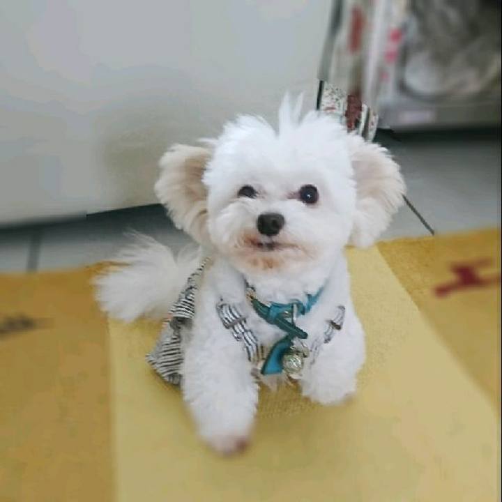 574846b2 9f97 45ee a5ab b58021805d23