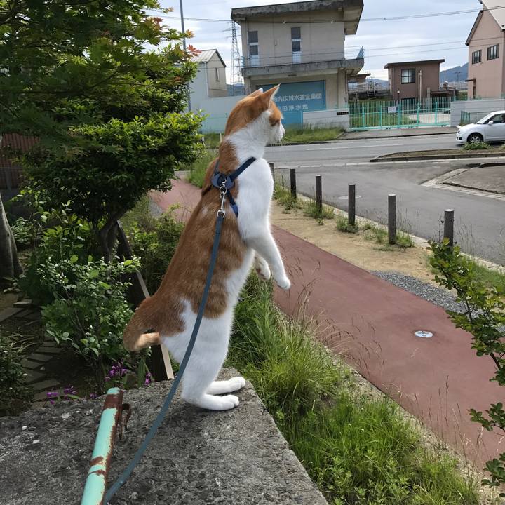 57489acf fbc2 4427 9df4 95d150761c50