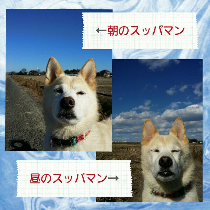 5748aa72 55e6 45f5 a0c3 2a5ed1743457