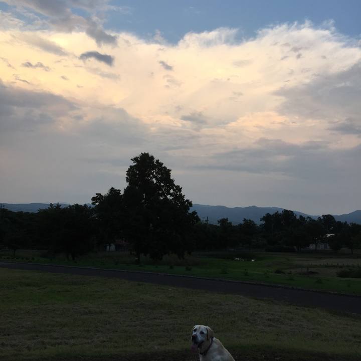 5748b108 ec5b 4a35 a362 7643e4ffec00