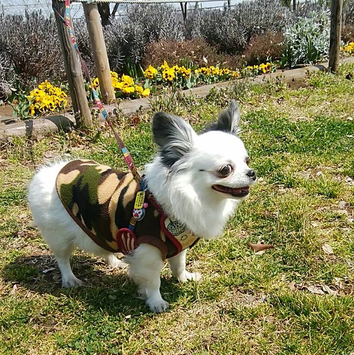 5748e7a3 6c14 406f ab34 5e692485ca96