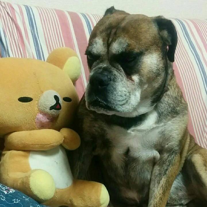 5749b861 3d8b 4ead 9197 2c424b2f7789