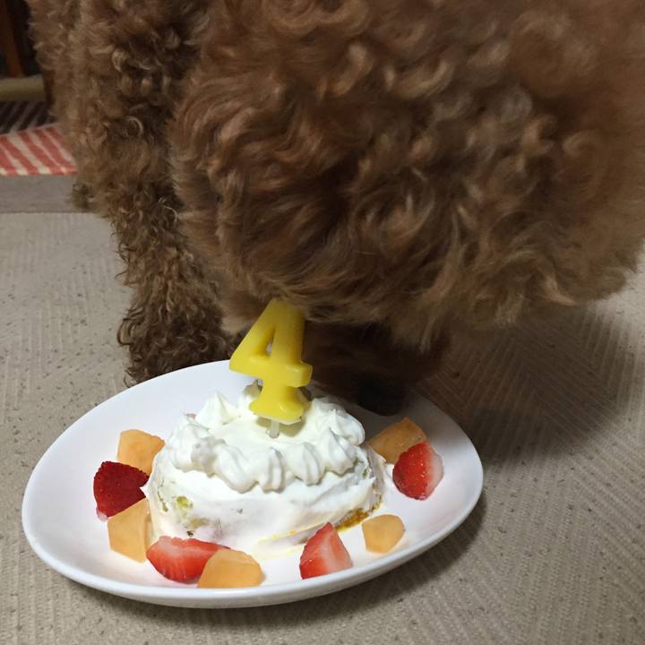 5749c5c9 d6ce 447f a87b 7ebcf2634717