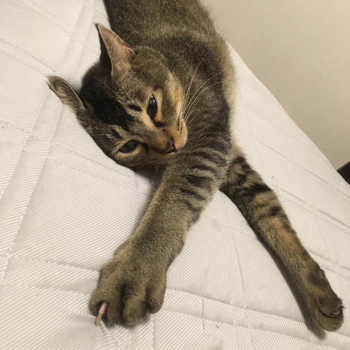 5749ebc4 ee92 41fe abf7 66c7aaa36a3c