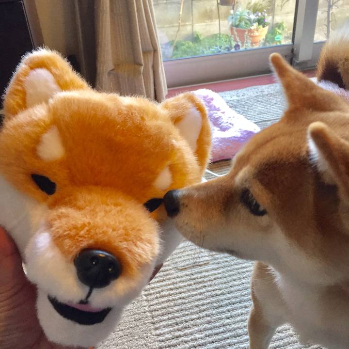 574a312b a9d7 4102 a107 7d5a5e580187