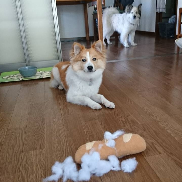 574a8b44 b3d0 412f 98ff 3027a8da9c0c