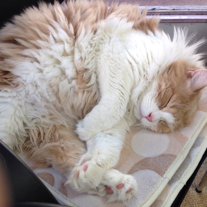 574aa7bd 5576 44be a7c3 6d02d5fff516