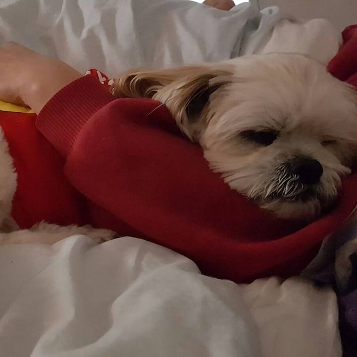 574ae94c c457 4dca 87b0 42c659f306ac