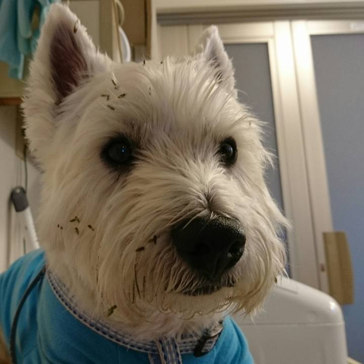 574b18a8 d4fe 4a14 951a 9b543918300a