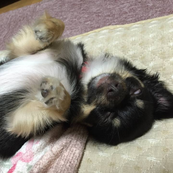 574b3699 6c3e 4f07 bfd5 360b3d3fc09e