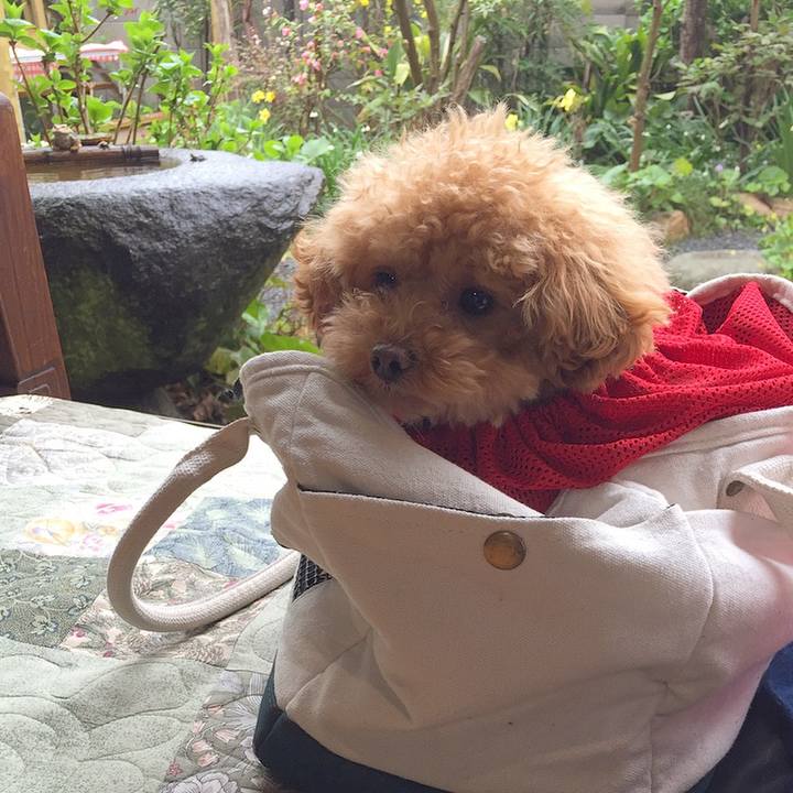 574b76a6 6f73 40b3 90a1 a9ce7b7982cf