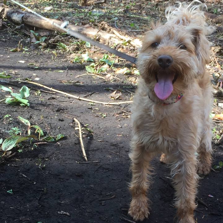 574bc29e aa9e 41da b234 4cc2f33459bc