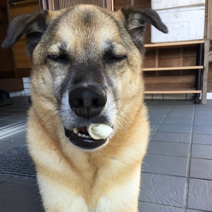 574bd266 02b9 4264 b355 e966b09505ca