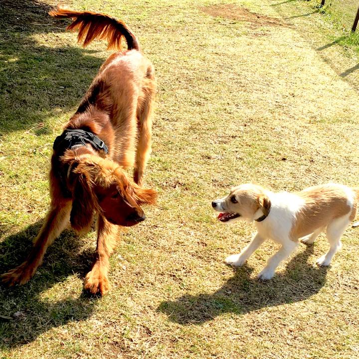 574c644f 5357 4071 b7fc e24f1c587d3d