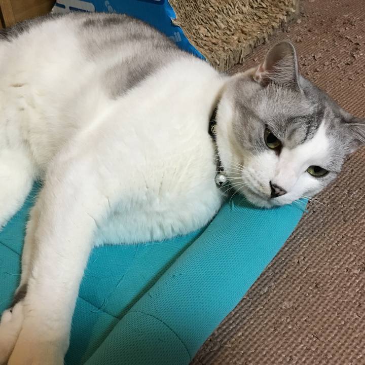 574ccfbc e317 4030 b18f 6f2135489445