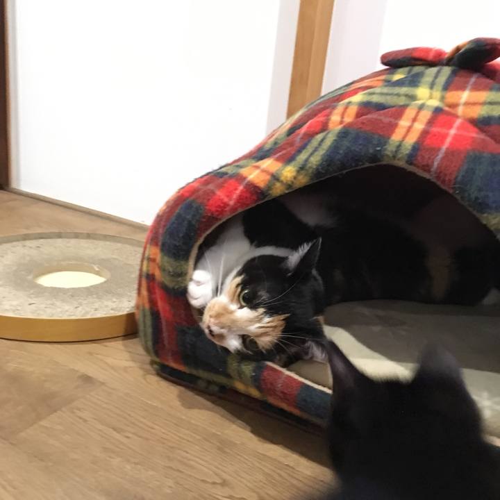 574cf757 a6f4 4231 9b13 c57d5d94e9a4