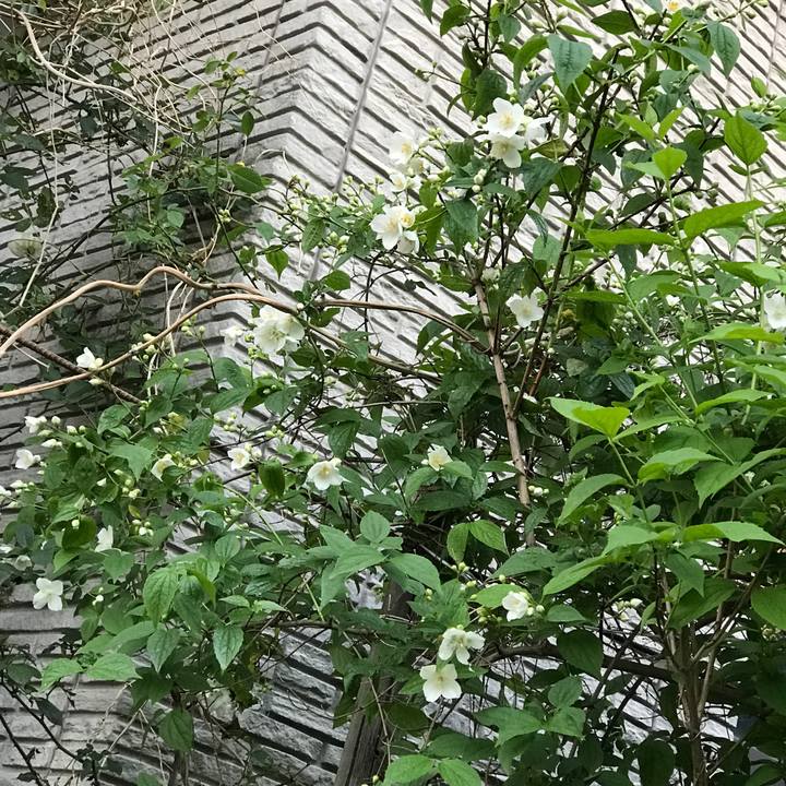 574d878f c61c 4752 bf86 5e6cc262b65d