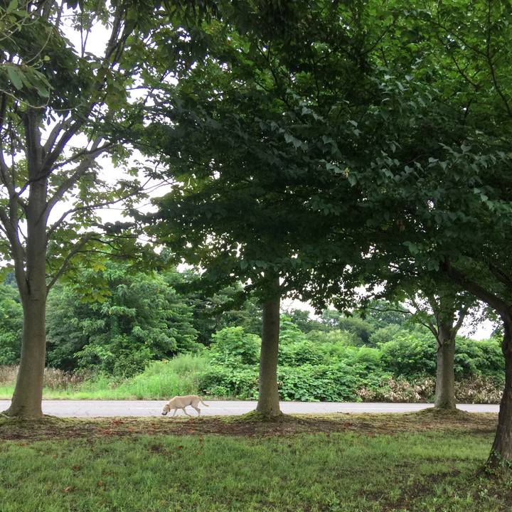 574f27ba 1d50 46cc b455 02a950ebbe61